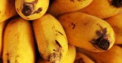 Berman stelt Commissie vragen over mensenrechten bananensector Kameroen