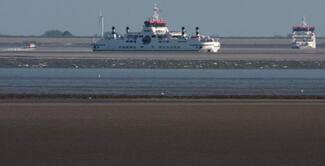 boot ameland