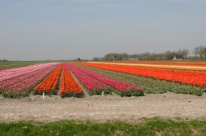 alttekst ontbreekt in origineel bericht