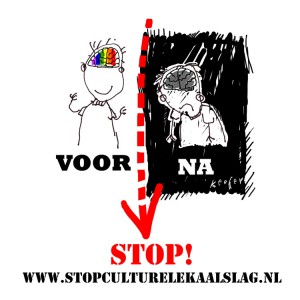 Stop de culturele kaalslag!