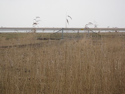 Oostvaardersplassen