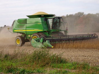 Harvesting_soybeans