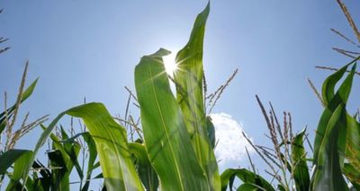 alttekst ontbreekt in origineel bericht